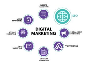 Digital Marketing Expert